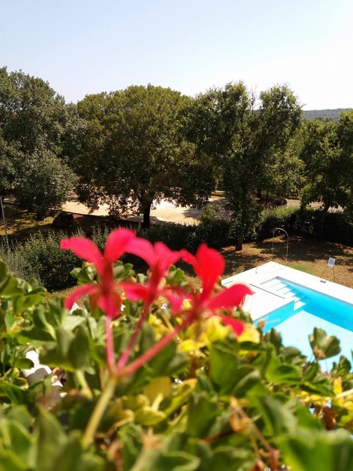Pansion Oliva Otel Krnica Dış mekan fotoğraf