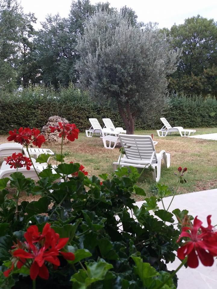 Pansion Oliva Otel Krnica Dış mekan fotoğraf